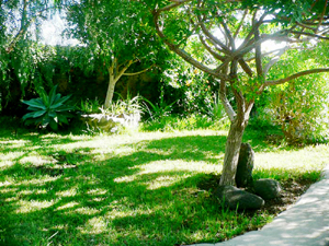 Ein schöner Garten auf einer Finca in El Salto